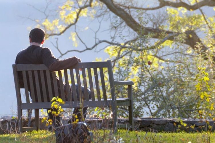 a man in a park sits on a bench looking into the distance